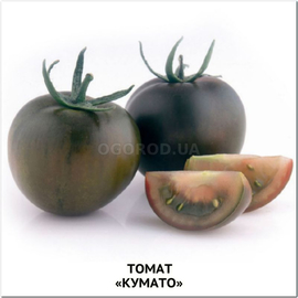 Семена томата «Кумато», ТМ OGOROD - 10 семян