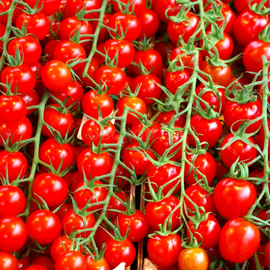 Семена томата «Черри красный» (низкорослый), ТМ OGOROD - 2000 семян