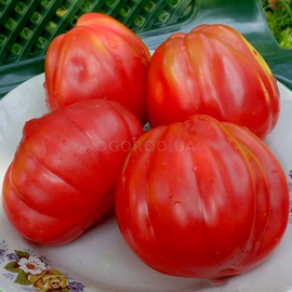 Семена томата «Red Figs» (Инжир Красный), серия «От автора» - 10 семян