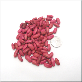 Семена фасоли «Фиолетовый полюс», ТМ Hortus - 100 семян