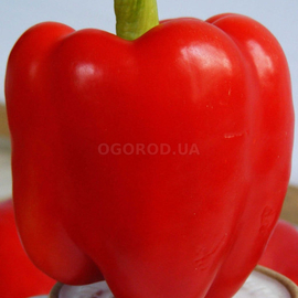 Семена перца сладкого «Светозар», ТМ OGOROD - 20 семян