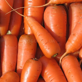Семена моркови «Каротель», ТМ OGOROD - 2 грамма