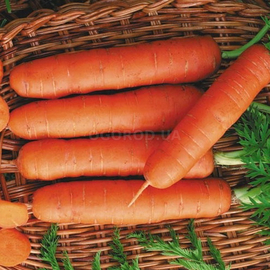 Семена моркови «Деликатесная», ТМ OGOROD - 2 грамма
