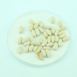 Семена фасоли «Бергольд», ТМ Hortus - 10 семян