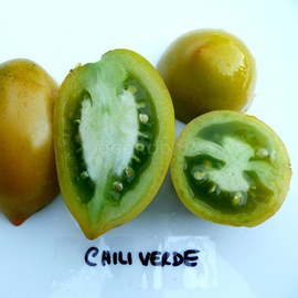 Семена томата «Chile Verde» (Зелёный Чили), серия «От автора» - 10 семян