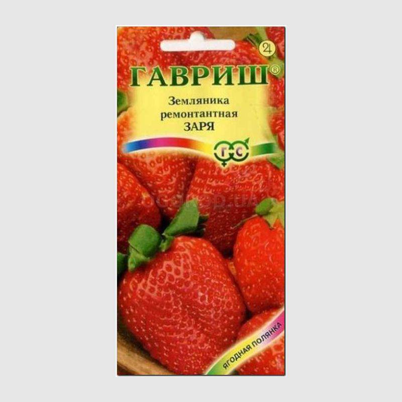 Кликните для увеличения изображения Семена земляники «Заря», ТМ «ГАВРИШ» - 10 семян