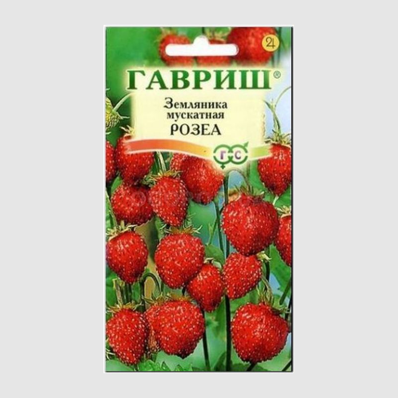 Кликните для увеличения изображения Семена земляники «Розеа», ТМ «ГАВРИШ» - 0,01 грамма