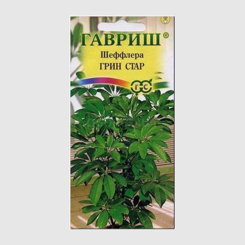 Кликните для увеличения изображения Семена шеффлеры «Грин стар», ТМ «ГАВРИШ» - 3 семечка