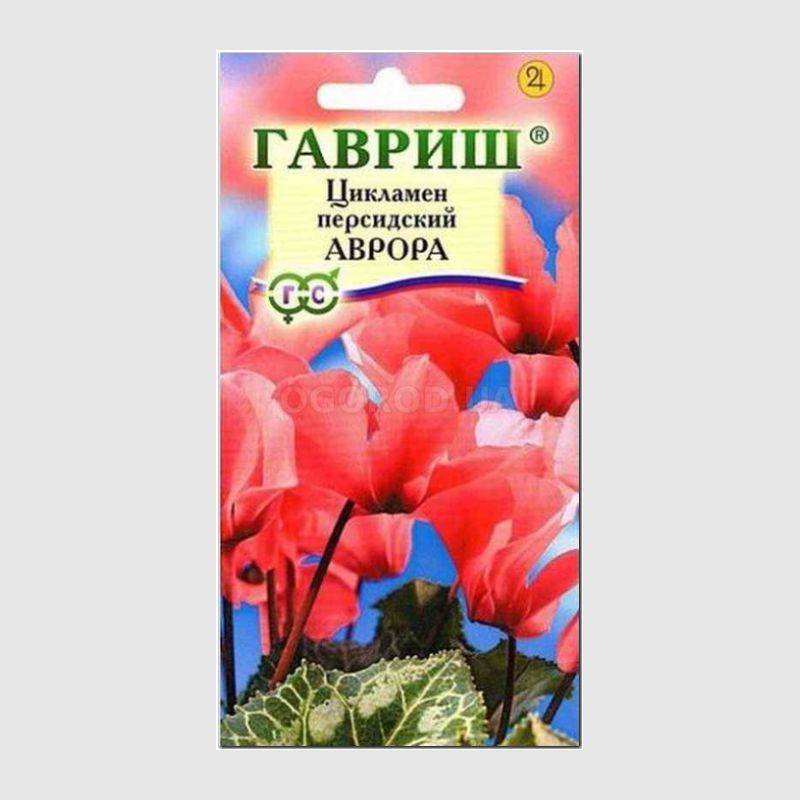 Кликните для увеличения изображения Семена цикламена персидского «Аврора», ТМ «ГАВРИШ» - 3 шт.