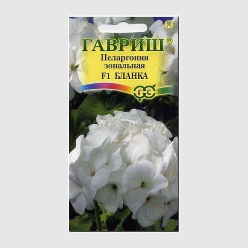 Кликните для увеличения изображения Семена пеларгонии зональной «Бланка» F1, ТМ «ГАВРИШ» - 4 семечка