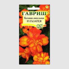 Семена бегонии ампельной «Галатея» / Begonia tuberhybrida pendula multiflora fl.pl., ТМ «ГАВРИШ» - 4 семечка