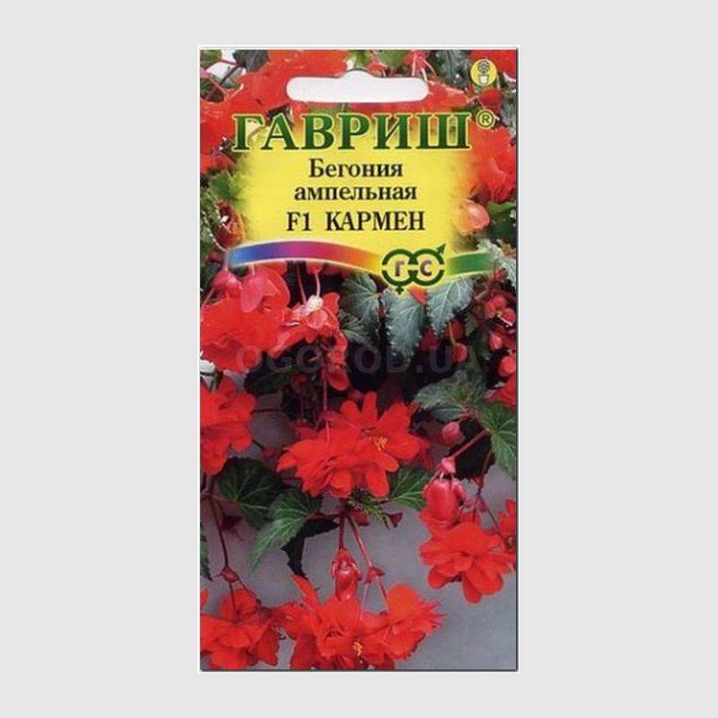Кликните для увеличения изображения Семена бегонии ампельной «Кармен», ТМ «ГАВРИШ» - 5 семян