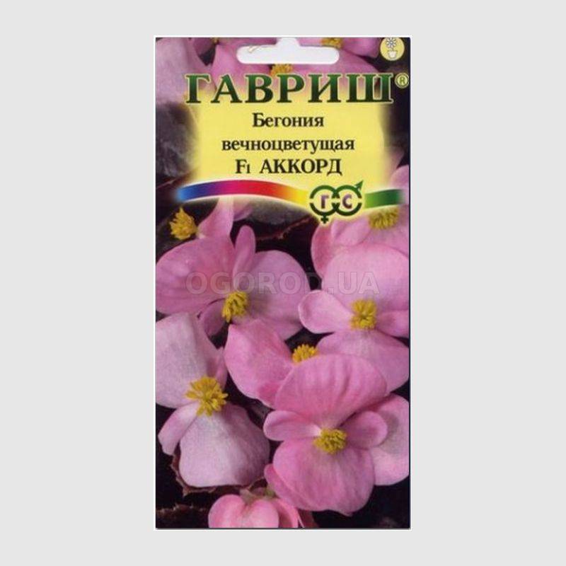Кликните для увеличения изображения Семена бегонии вечноцветущей «Аккорд» F1, ТМ «ГАВРИШ» - 5 семян