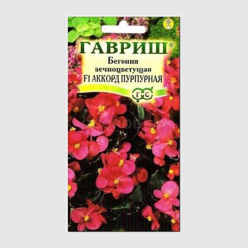 Бегония Семена Интернет Магазин