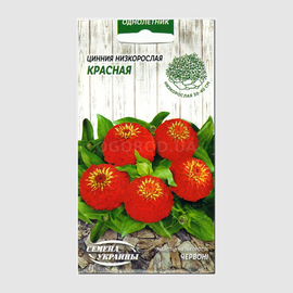 Семена циннии низкорослой «Красная», ТМ «СЕМЕНА УКРАИНЫ» - 0,5 грамма