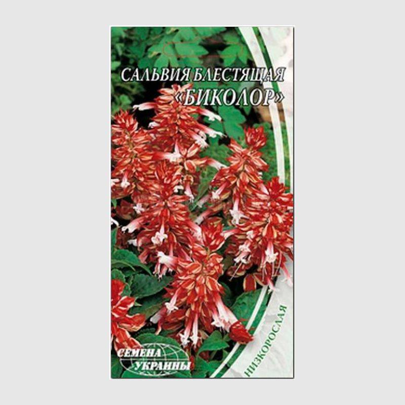 Кликните для увеличения изображения Семена сальвии блестящей «Биколор», ТМ «СЕМЕНА УКРАИНЫ» - 0,2 грамма