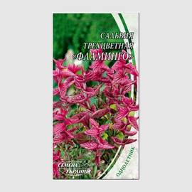 Семена сальвии трехцветной «Фламинго» / Salvia horminum, ТМ «СЕМЕНА УКРАИНЫ» - 0,3 грамма