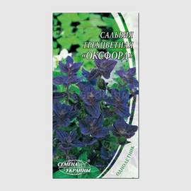 Семена сальвии трехцветной «Оксфорд» / Salvia horminum, ТМ «СЕМЕНА УКРАИНЫ» - 0,3 грамма