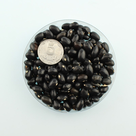 Семена фасоли спаржевой «Черный Агат», ТМ OGOROD - 100 семян