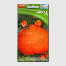 Семена тыквы-арбуза Кавбуз, ТМ «ГЕЛИОС» - 5 семян