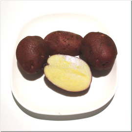 Клубни картофеля «Рокко»(2-я репродукция), ТМ OGOROD - 1 кг