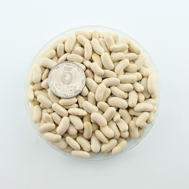 Семена фасоли спаржевой «Приусадебная», ТМ OGOROD - 10 грамм