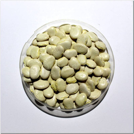 Семена фасоли лимской «Пуговка», ТМ OGOROD - 10 грамм