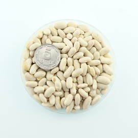 Семена фасоли спаржевой «Золотая Сакса», ТМ OGOROD - 10 семян