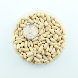 Семена фасоли спаржевой «Масляный король», ТМ OGOROD - 10 семян