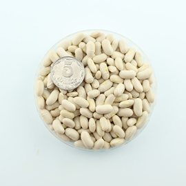 Семена фасоли спаржевой «Сонеста», ТМ OGOROD - 10 семян