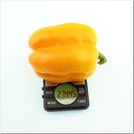 Семена перца сладкого «Оранжевый гигант», серия «От автора» - 5 семян