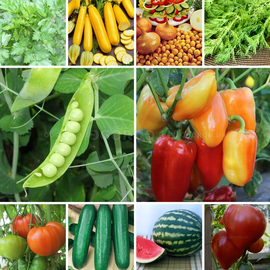 Набор семян овощей «Мечта огородника» - 15 пакетиков