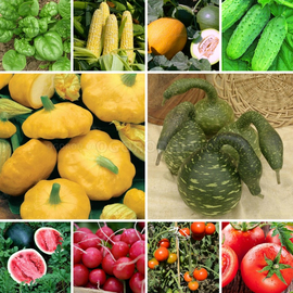 Мега набор семян овощей «Мечта огородника» - 30 пакетиков