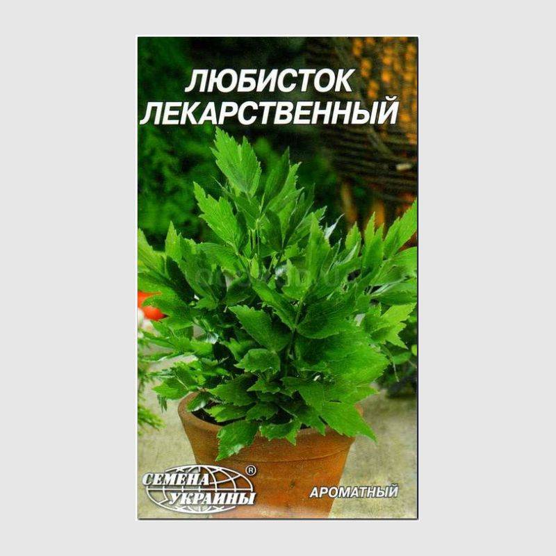 Кликните для увеличения изображения Семена любистка «Лекарственный», ТМ «СЕМЕНА УКРАИНЫ» - 0,3 грамма