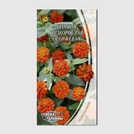 Семена циннии низкорослой «Оранжевая», ТМ «СЕМЕНА УКРАИНЫ» - 0,5 грамма