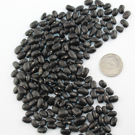 Семена фасоли «Прето», ТМ OGOROD - 10 грамм