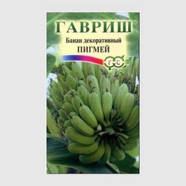 Семена банана декоративного «Пигмей» / Musa ensete L., ТМ «ГАВРИШ» - 3 семечка