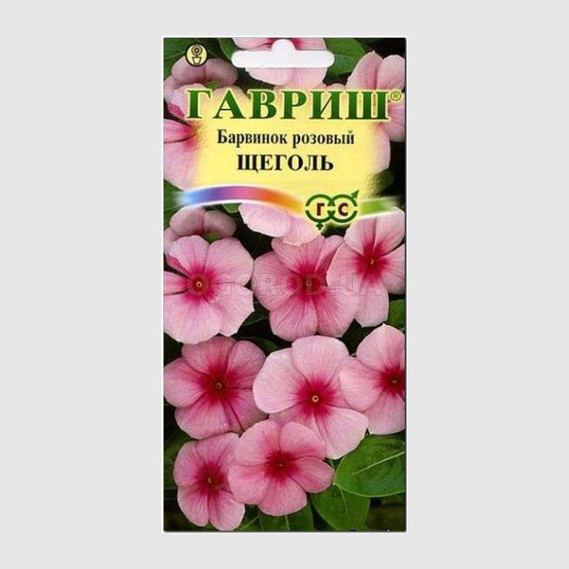 Кликните для увеличения изображения Семена барвинка розового «Щеголь», ТМ «ГАВРИШ» - 0,05 грамма