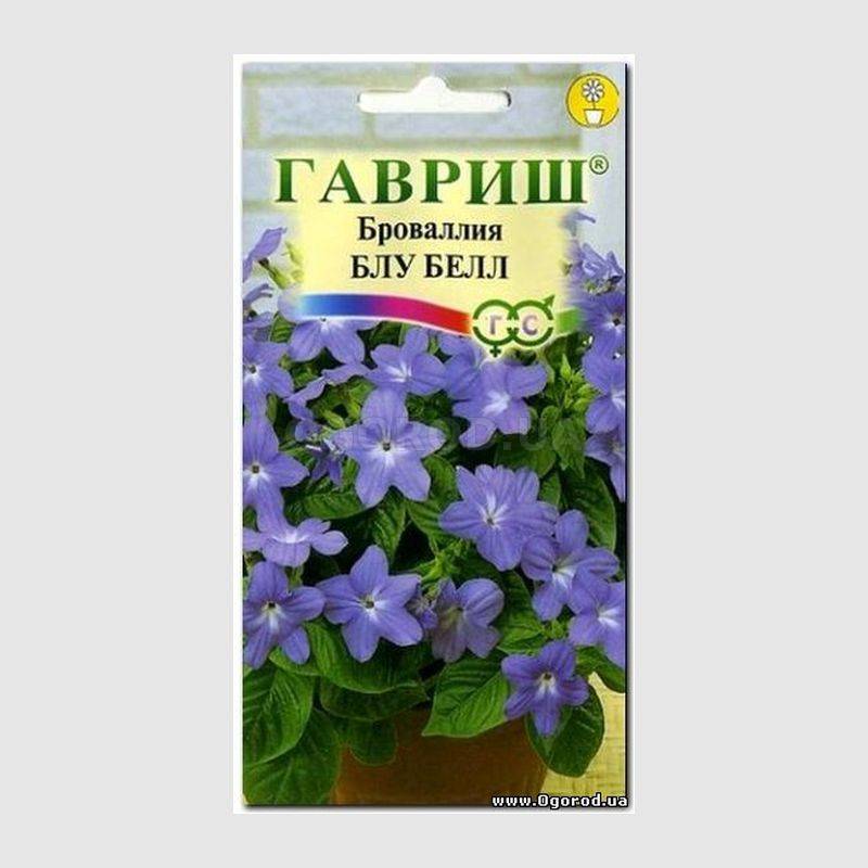 Кликните для увеличения изображения Семена броваллии «Блу Белл», ТМ «ГАВРИШ» - 3 семечка