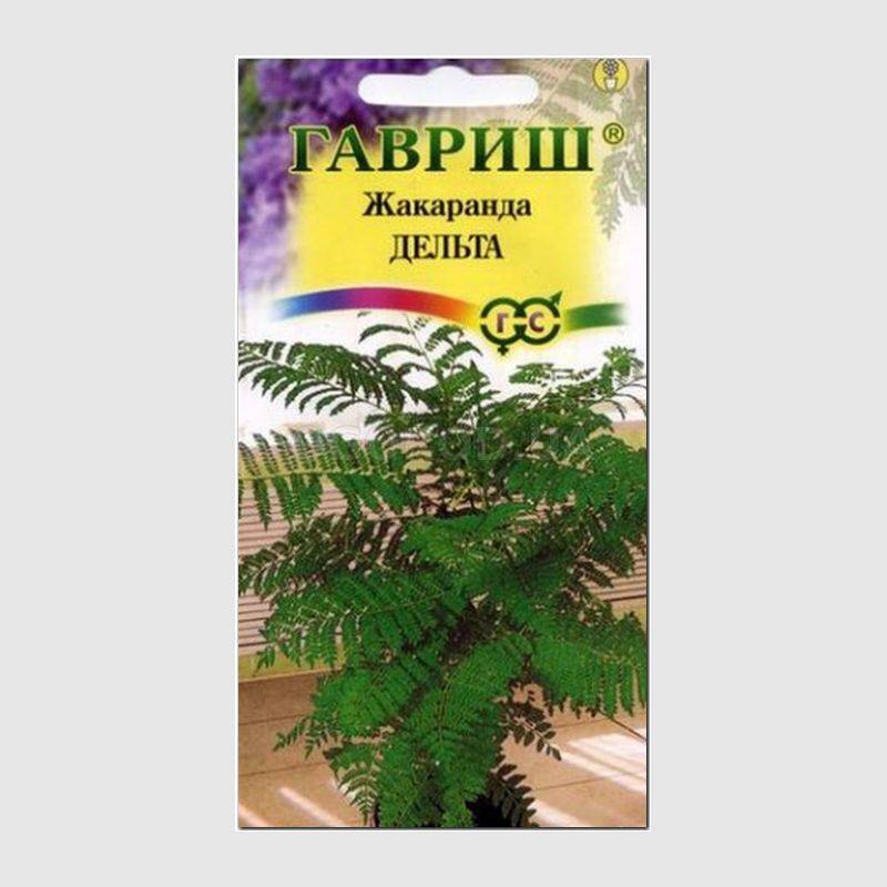 Кликните для увеличения изображения Семена жакаранды «Дельта», ТМ «ГАВРИШ» - 3 семечка
