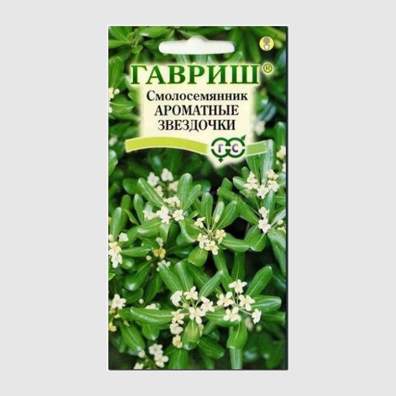 Кликните для увеличения изображения Семена смолосемянника «Ароматные звездочки», ТМ «ГАВРИШ» - 0,5 грамма