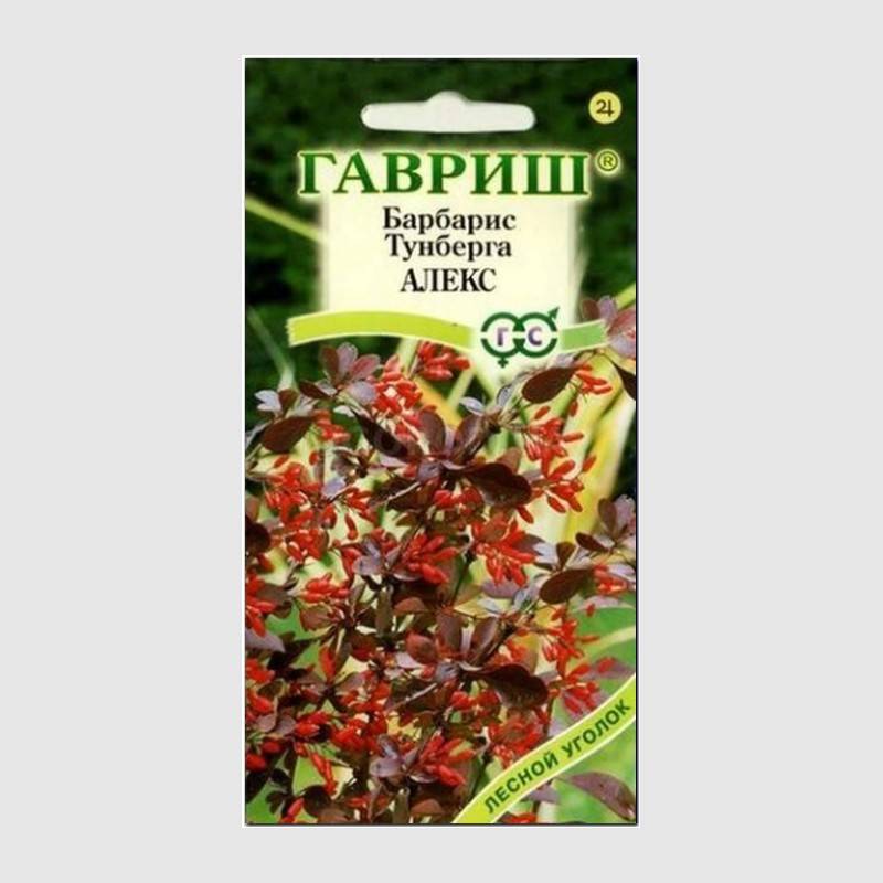 Кликните для увеличения изображения Семена барбариса тунберга «Алекс», ТМ «ГАВРИШ» - 0,2 грамма