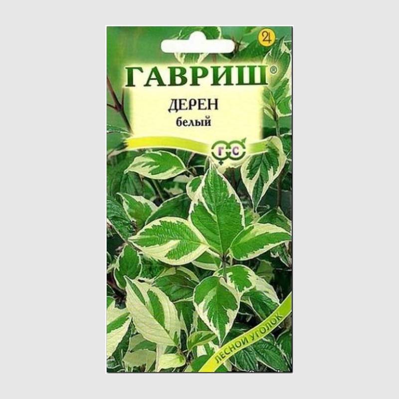 Кликните для увеличения изображения Семена дерена белого «Карантус», ТМ «ГАВРИШ» - 0,1 грамма