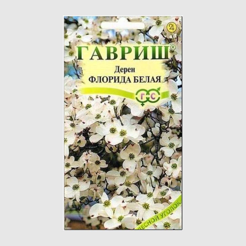 Кликните для увеличения изображения Семена дерена цветущего «Флорида белая», ТМ «ГАВРИШ» - 0,3 грамма