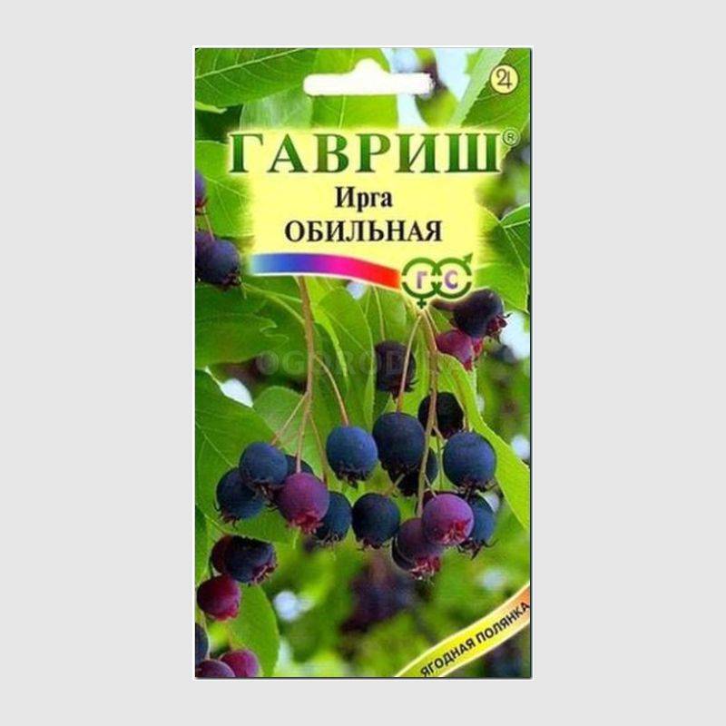 Цветы ирги купить в днепропетровске, букеты