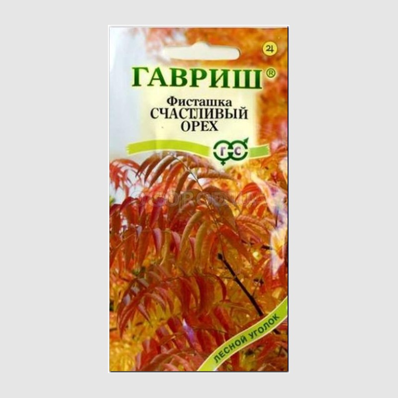 Кликните для увеличения изображения Семена фисташки китайской «Счастливый орех», ТМ «ГАВРИШ» - 1 грамм