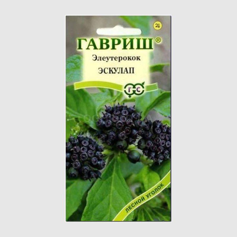 Кликните для увеличения изображения Семена элеутерококка колючего «Эскулап», ТМ «ГАВРИШ» - 3 семечка