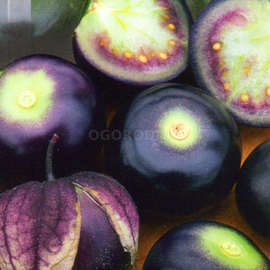 УЦЕНКА - Семена физалиса пурпурного, ТМ SeedEra - 0,1 грамм
