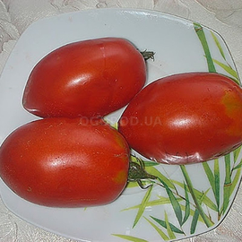 Семена томата «Фаршировочный», ТМ OGOROD - 20 семян