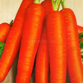 Семена моркови «Сластена», ТМ «СЕМЕНА УКРАИНЫ» - 2 грамма